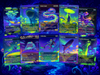 | New | Clement Frog Tribal | 100-Card MTG Proxy EDH Set | Trippy Bounce Strategy Deck | ProxyTCG