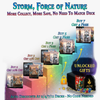 Storm, Force of Nature Commander Deck | 104+ Cards | ProxyTCG